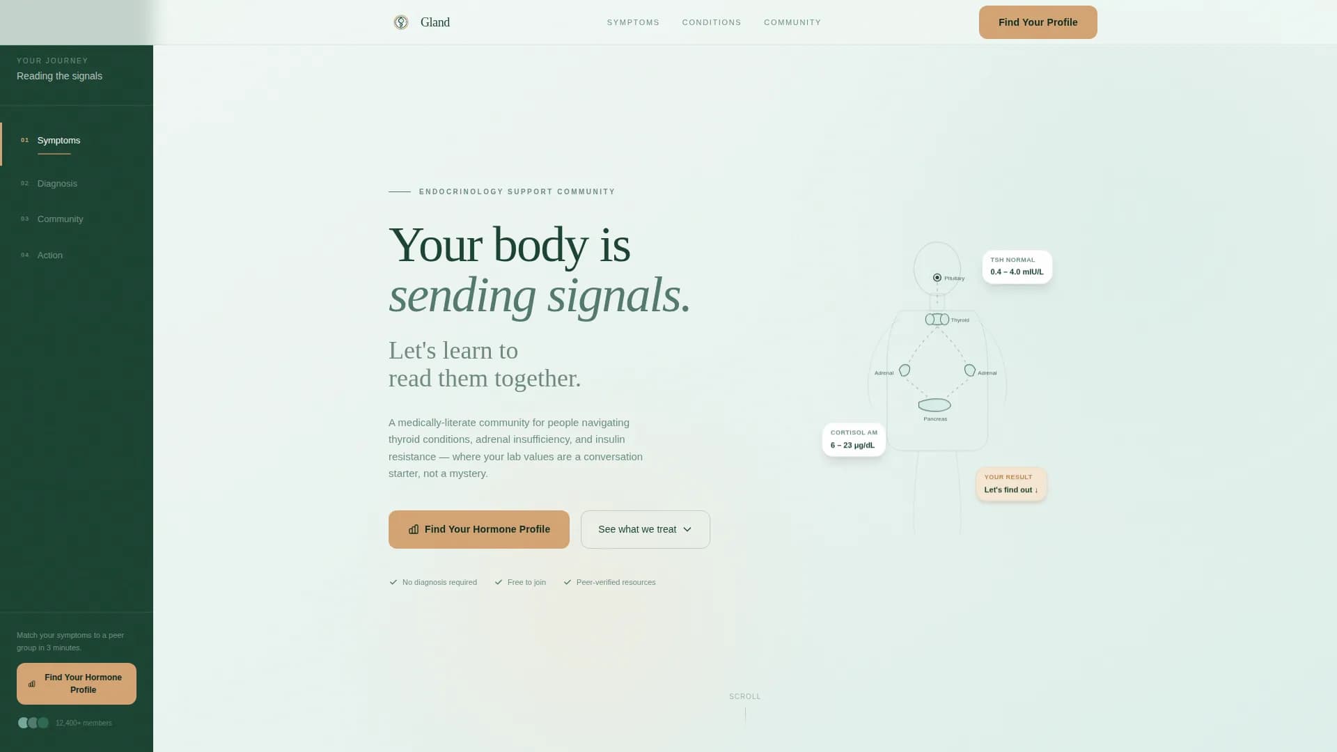 Endocrinology Medicine Specialist Professional Website Template