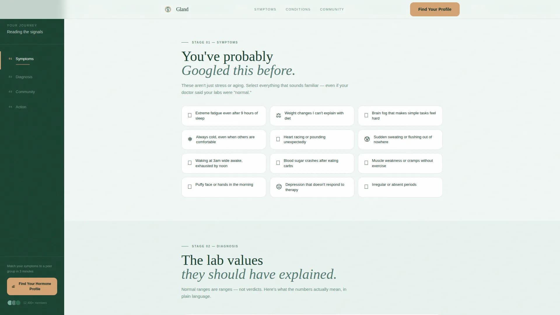Endocrinology Medicine Specialist Professional Website Template