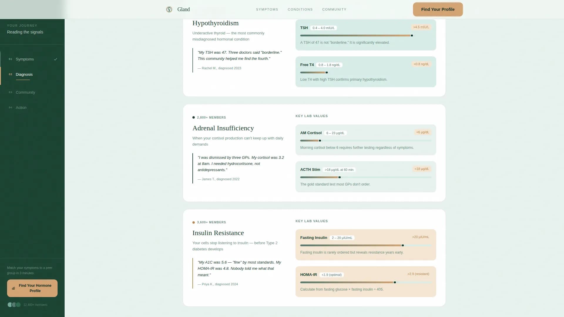 Endocrinology Medicine Specialist Professional Website Template
