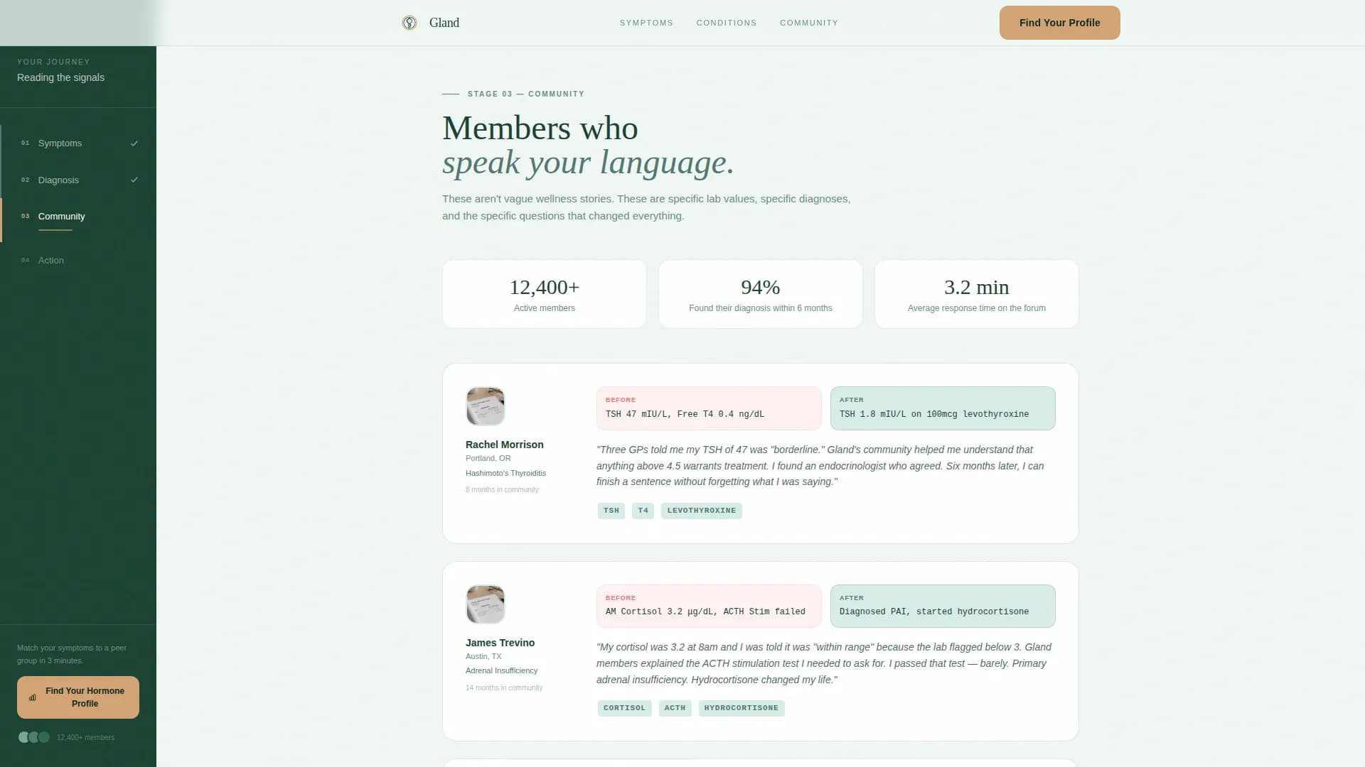 Endocrinology Medicine Specialist Professional Website Template