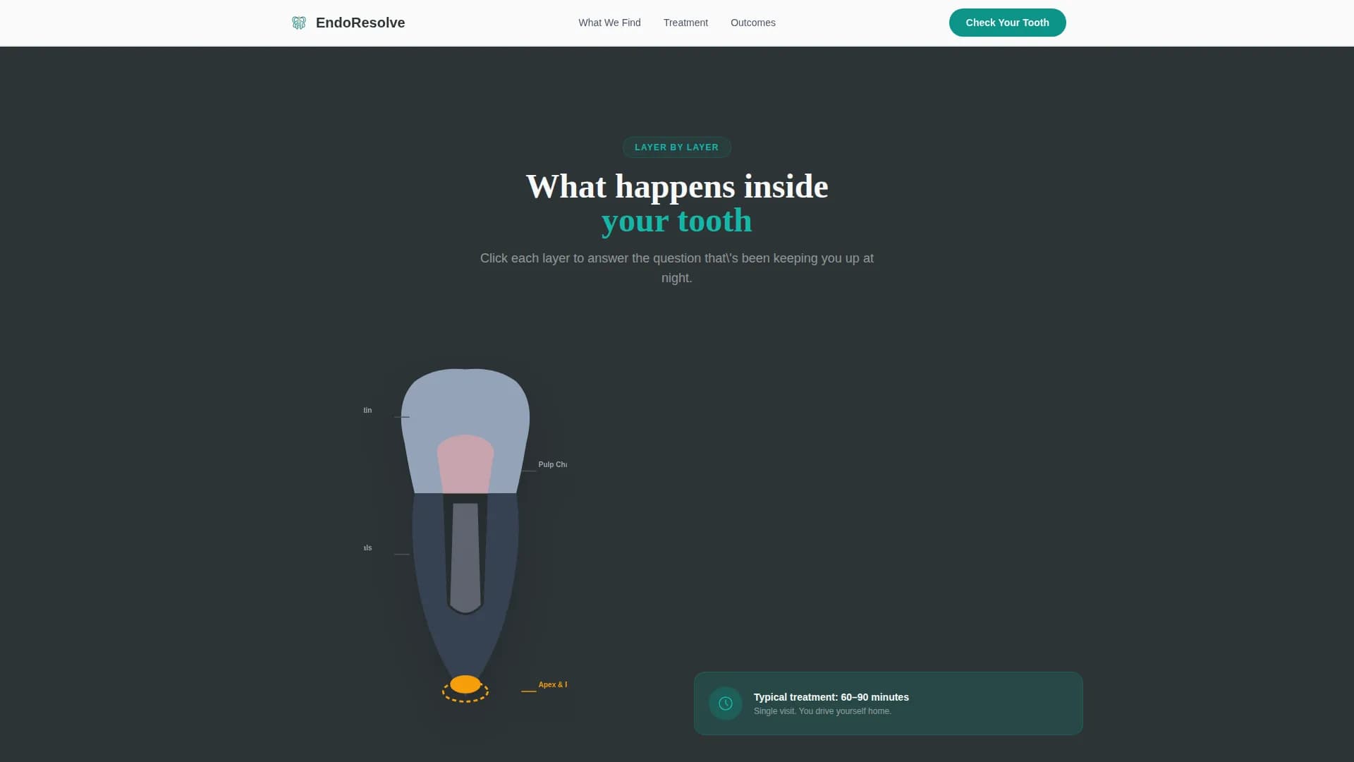 Endodontist Complete Booking Website Template