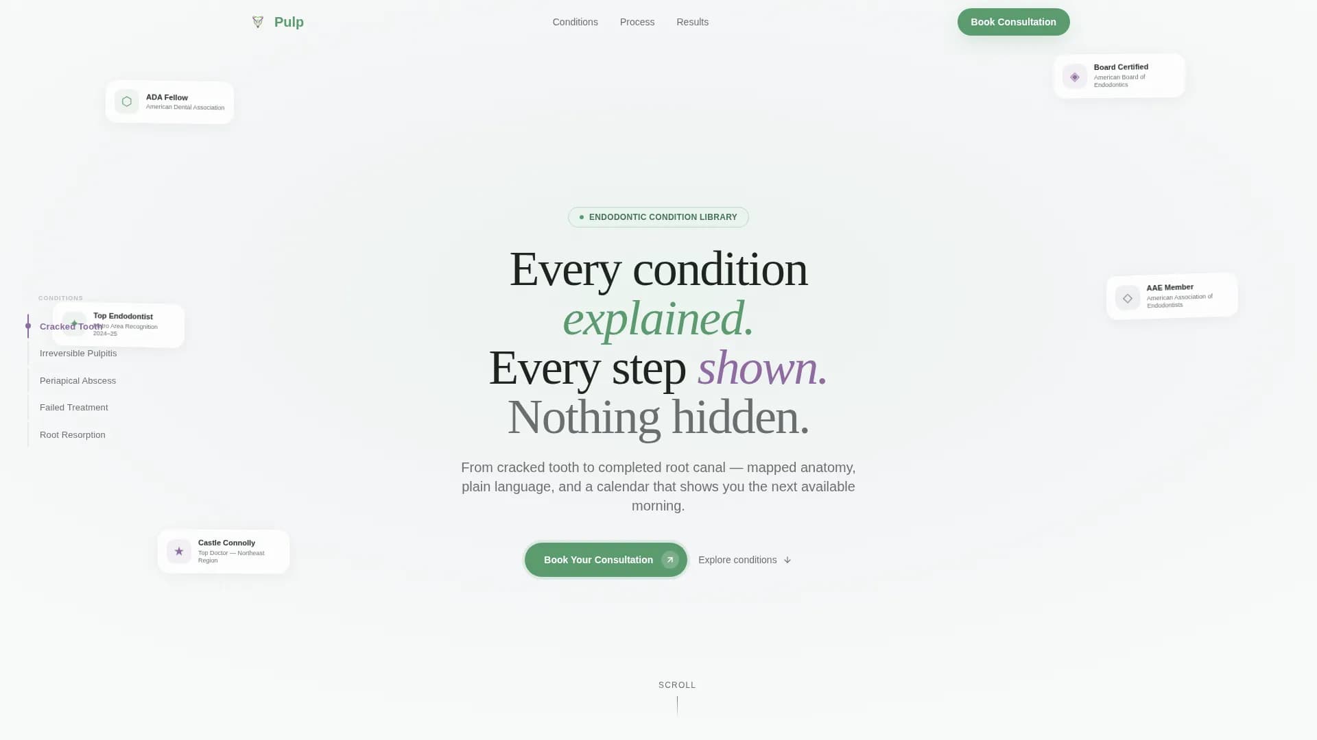 Endodontist Specialist Booking Website Template
