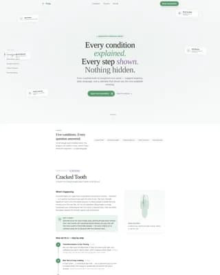 Endodontist Specialist Booking Website Template