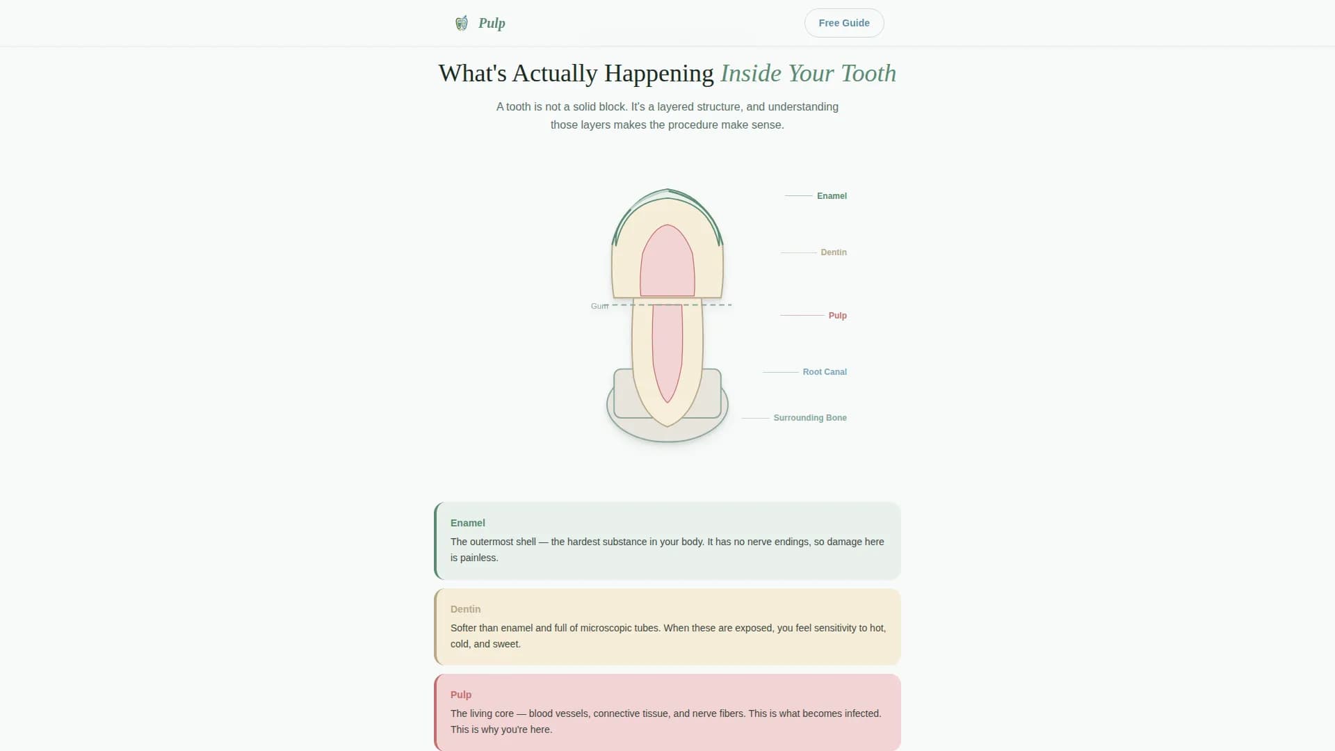 Endodontist Booking Website Template