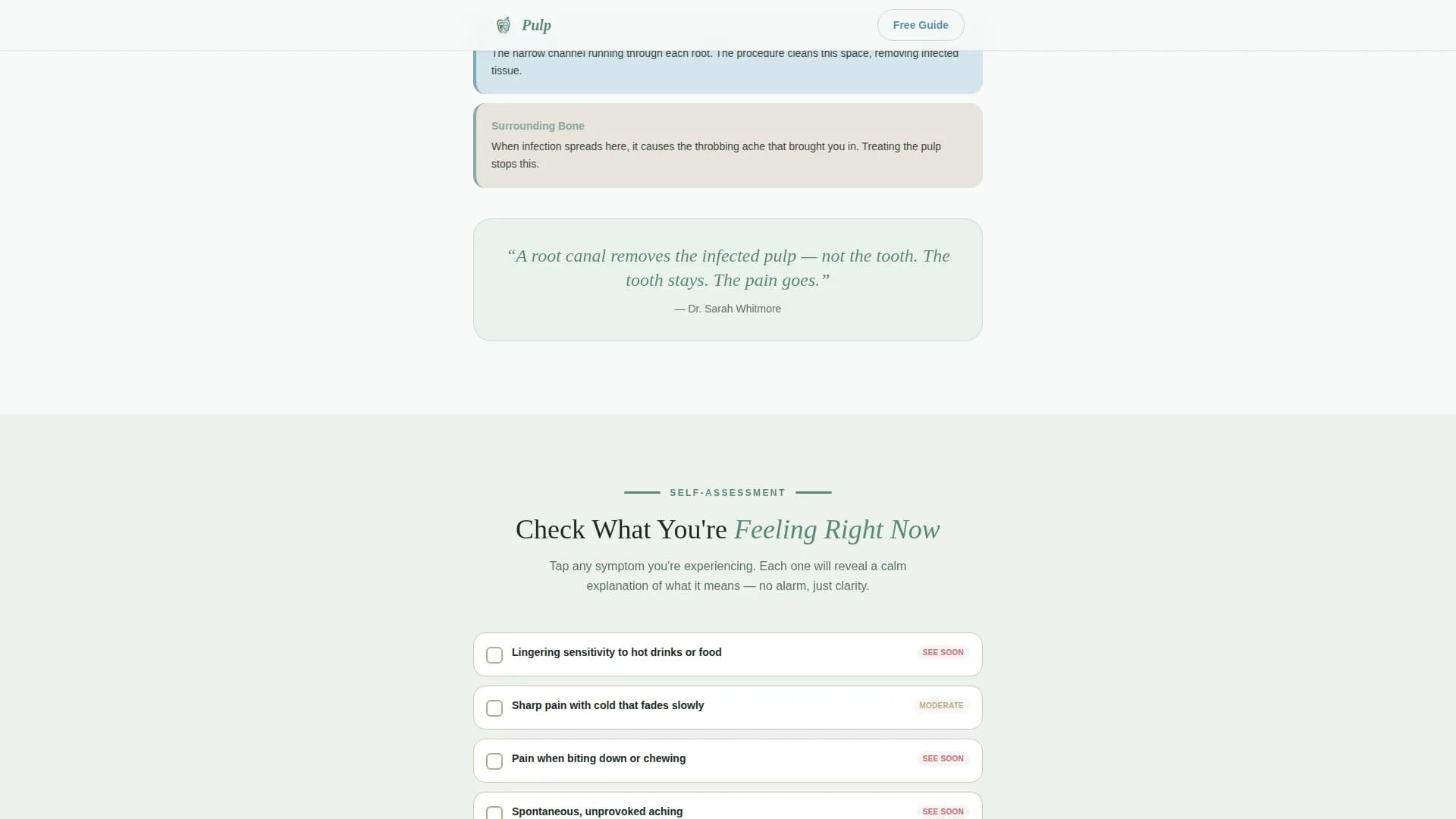 Endodontist Booking Website Template