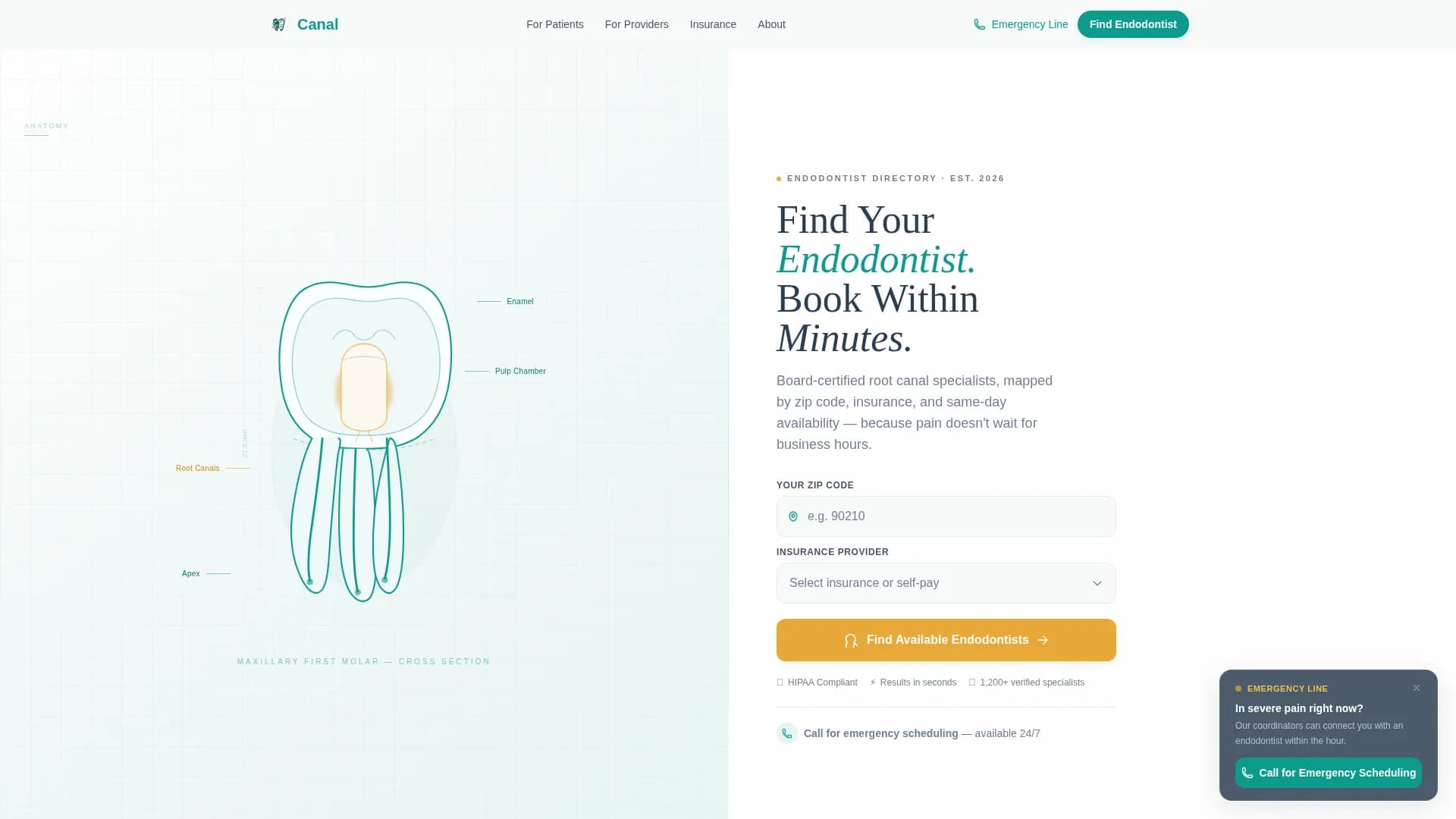 Endodontist Advanced Booking Website Template
