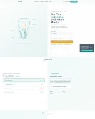 Endodontist Advanced Booking Website Template