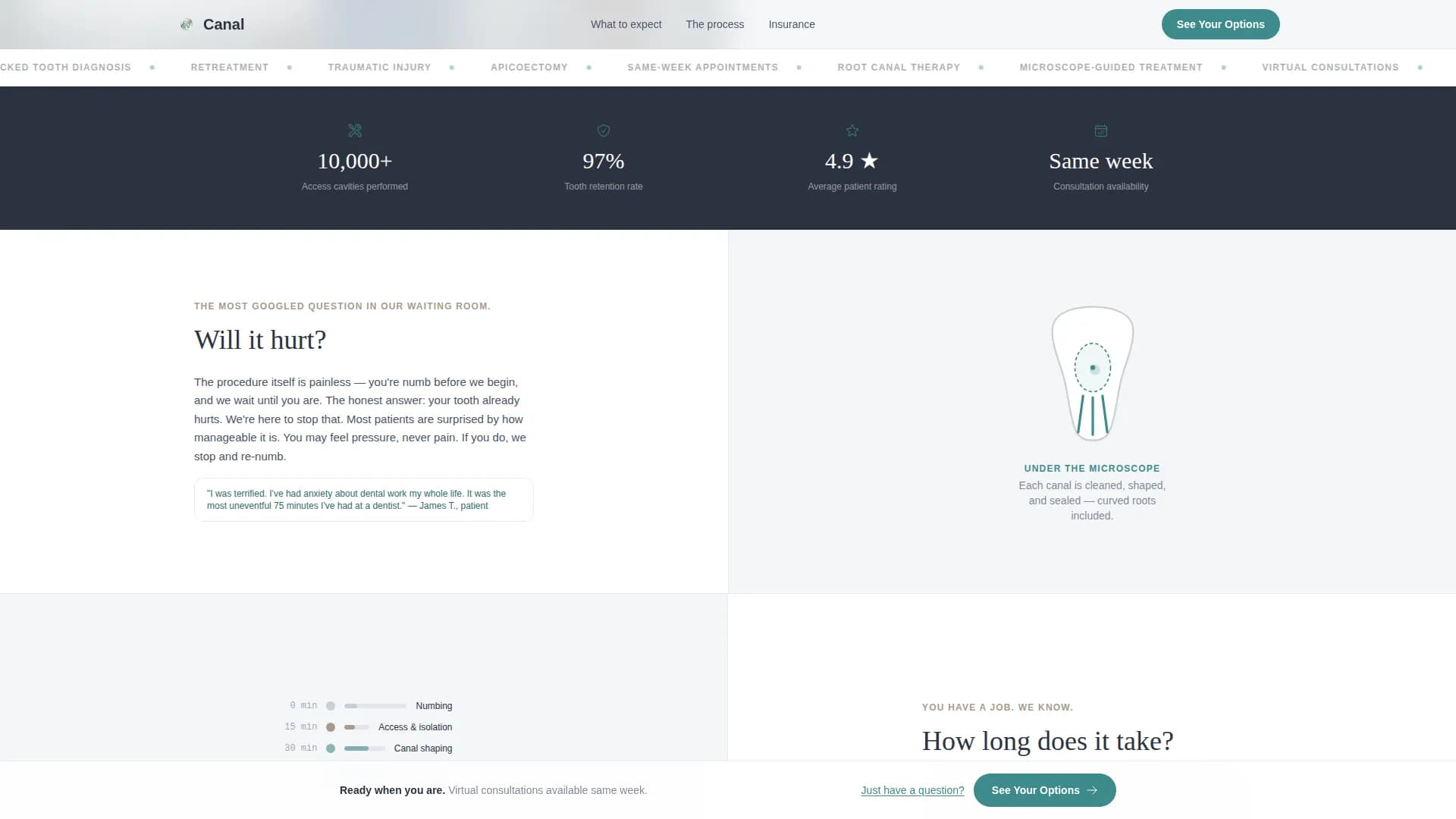 Endodontist Expert Booking Website Template