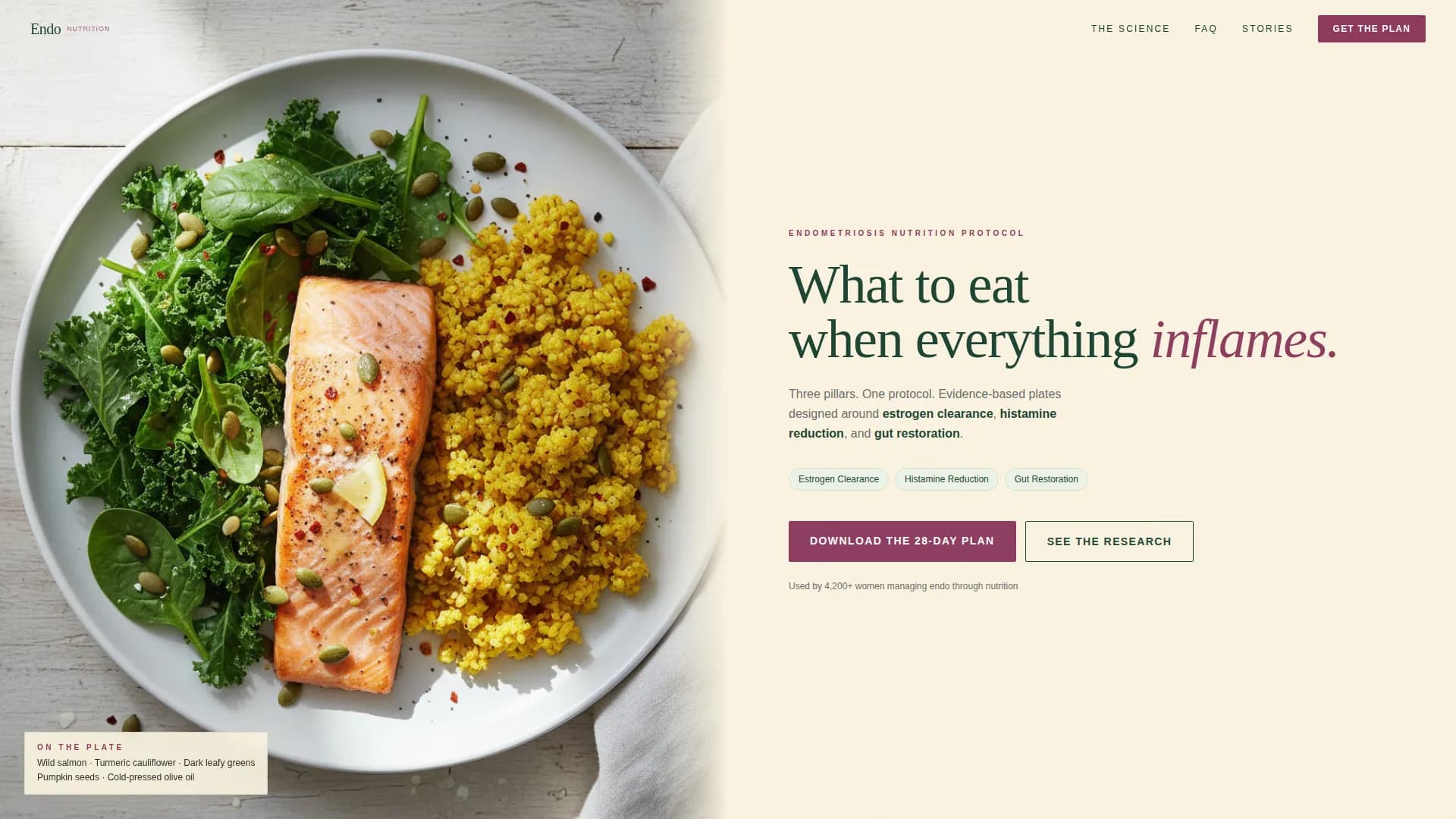 Endometriosis Care FAQ Website Template