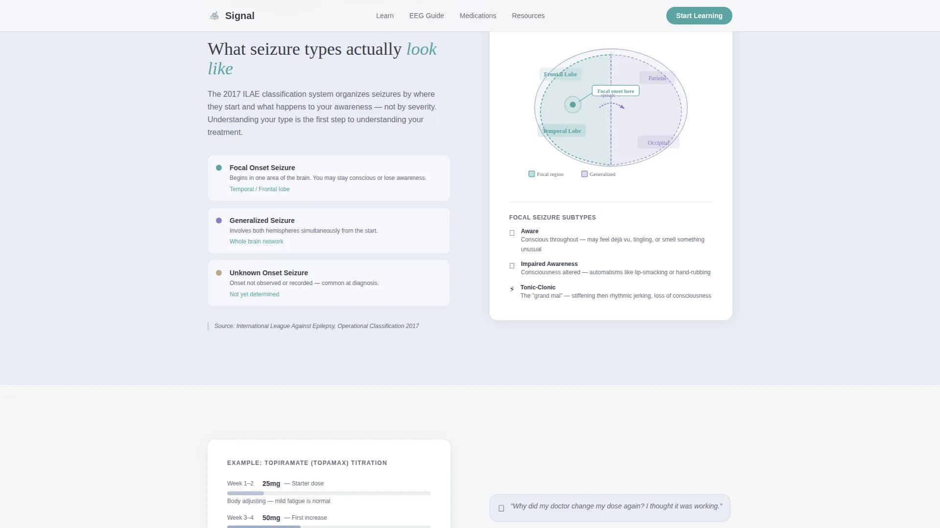 Epilepsy Care Education Website Template
