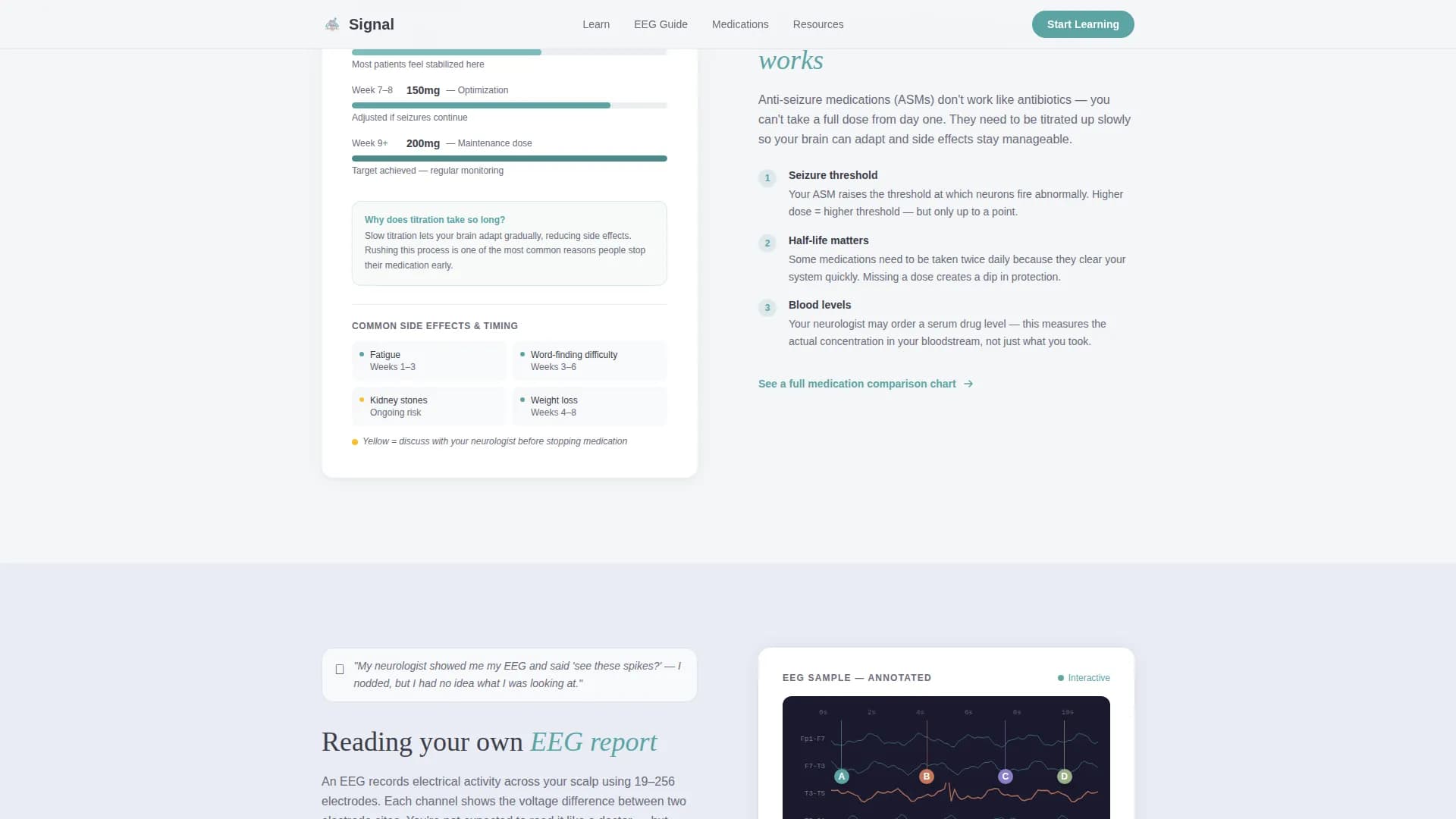 Epilepsy Care Education Website Template