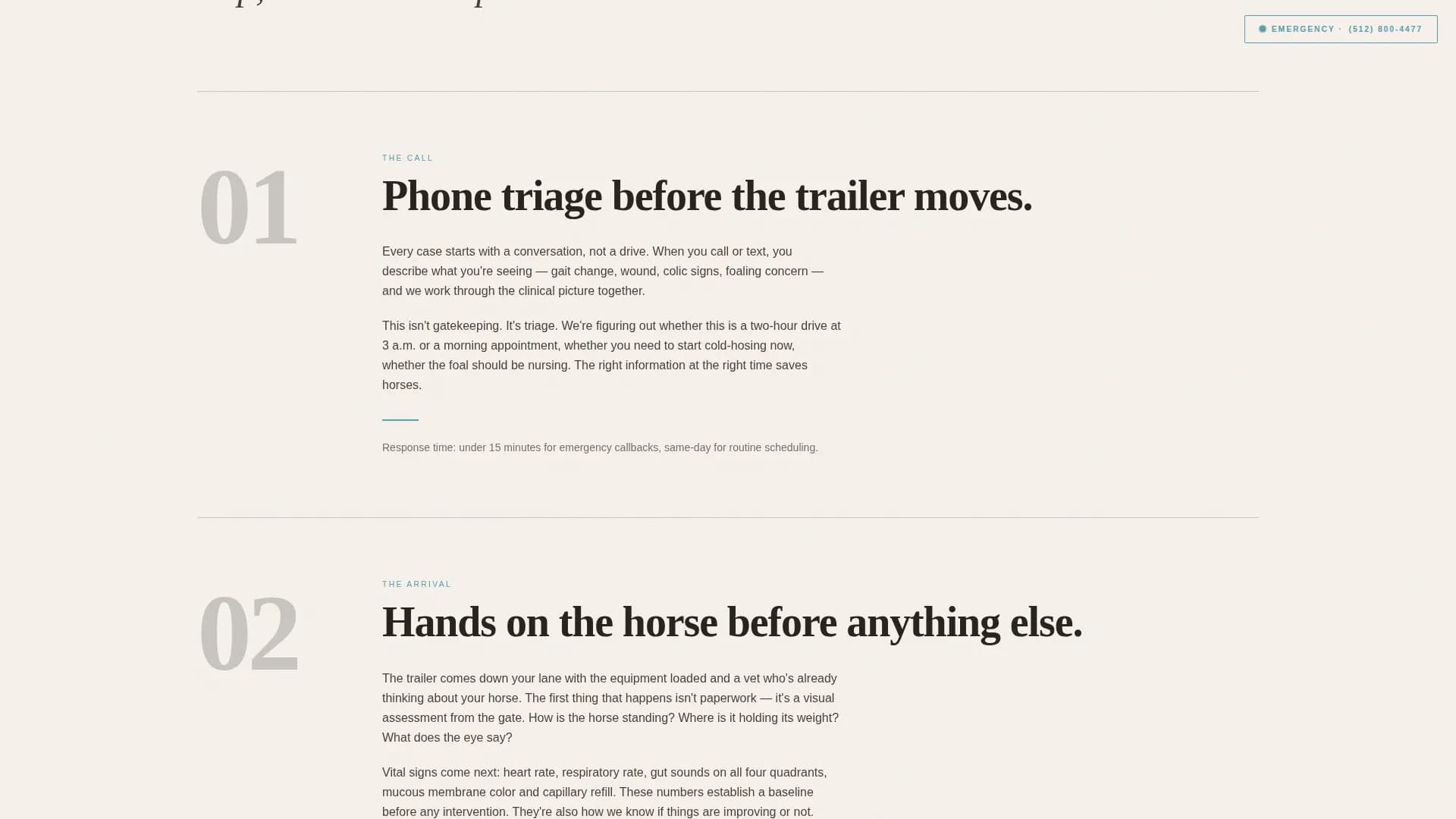 Veterinary & Animal Hospital Booking Website Template