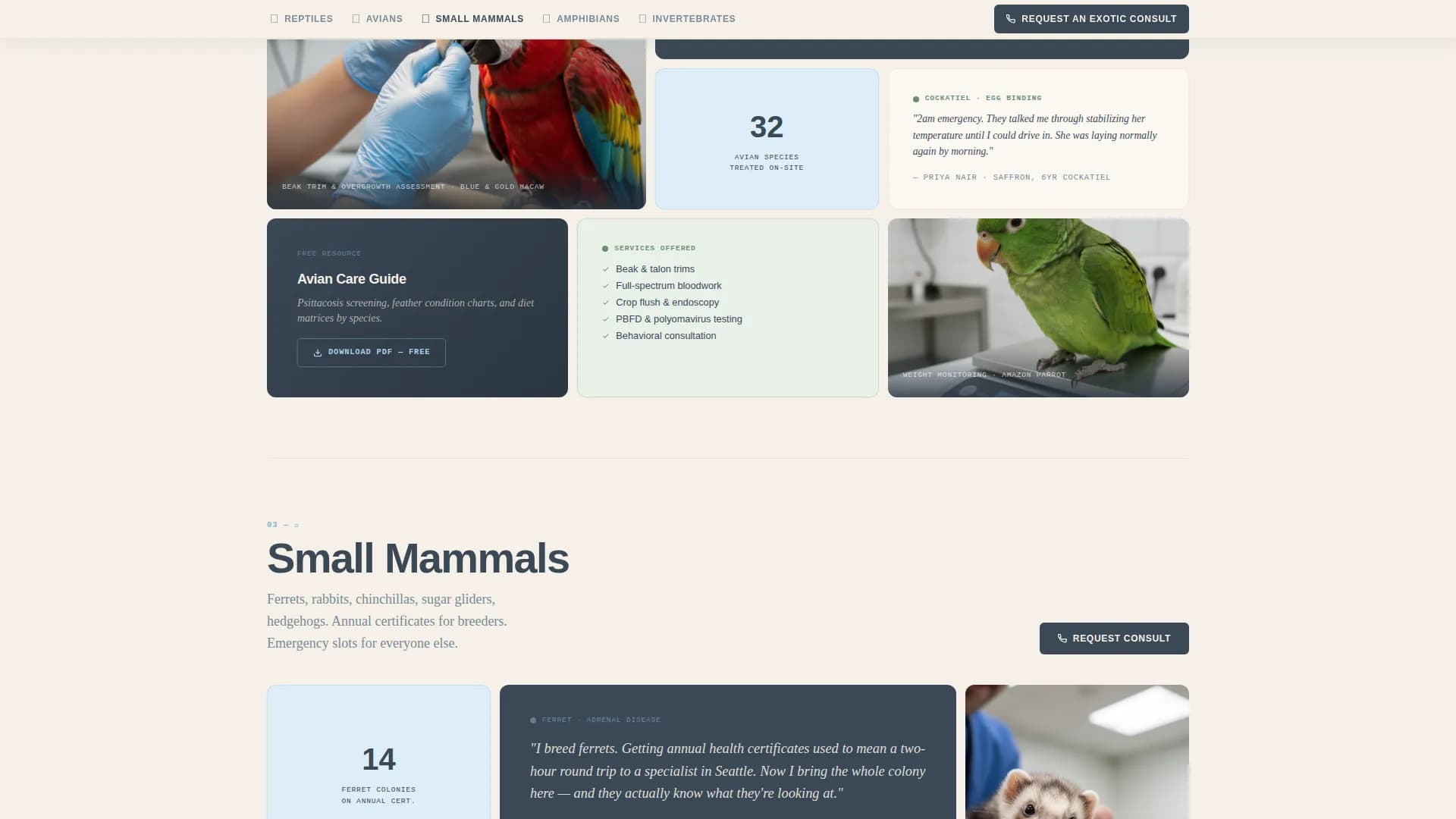 Veterinary & Animal Hospital Reviews Website Template