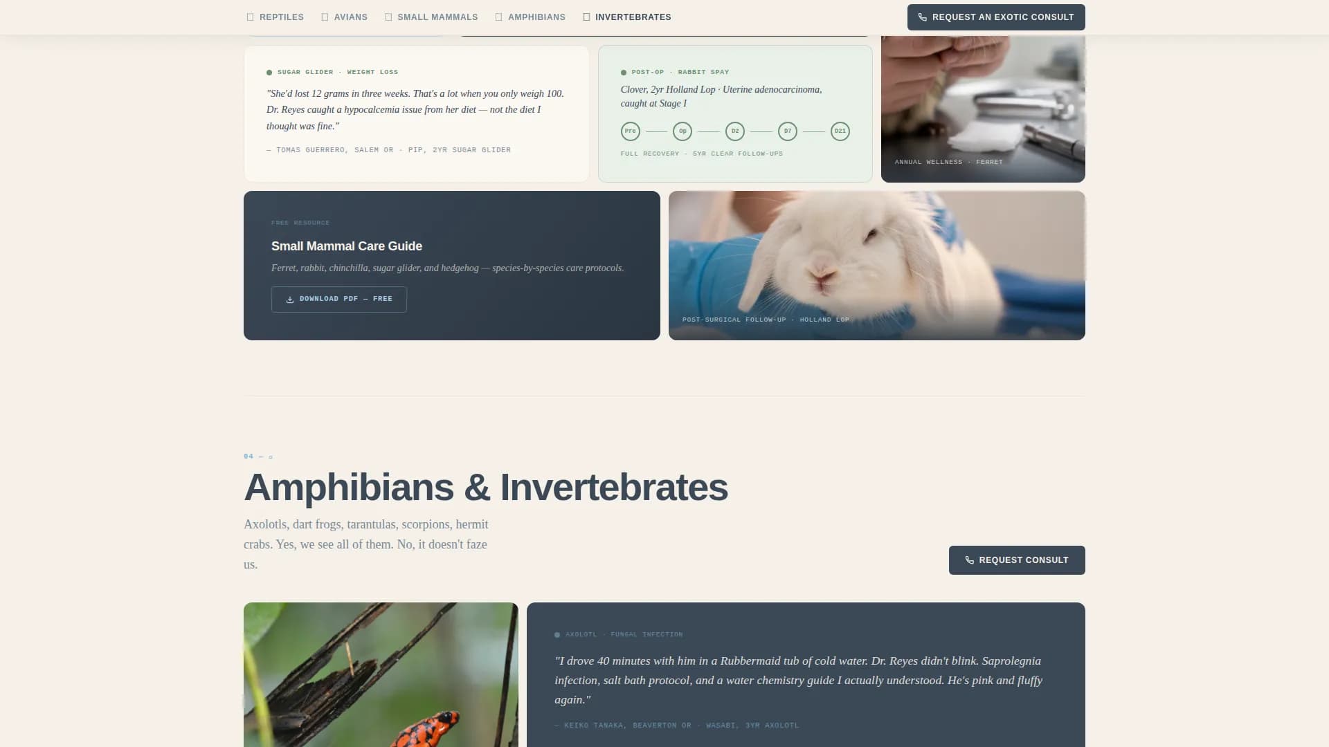 Veterinary & Animal Hospital Reviews Website Template