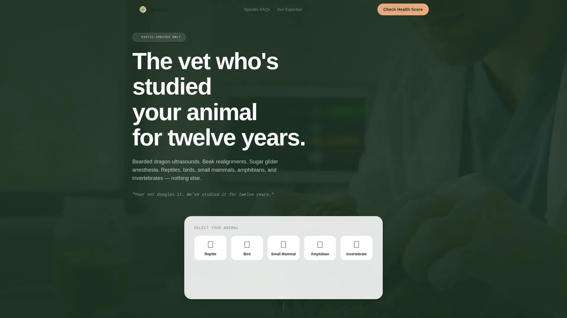 Veterinary & Animal Hospital Specialist Booking Website Template