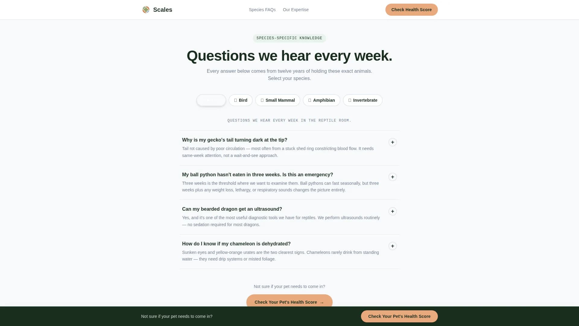 Veterinary & Animal Hospital Specialist Booking Website Template
