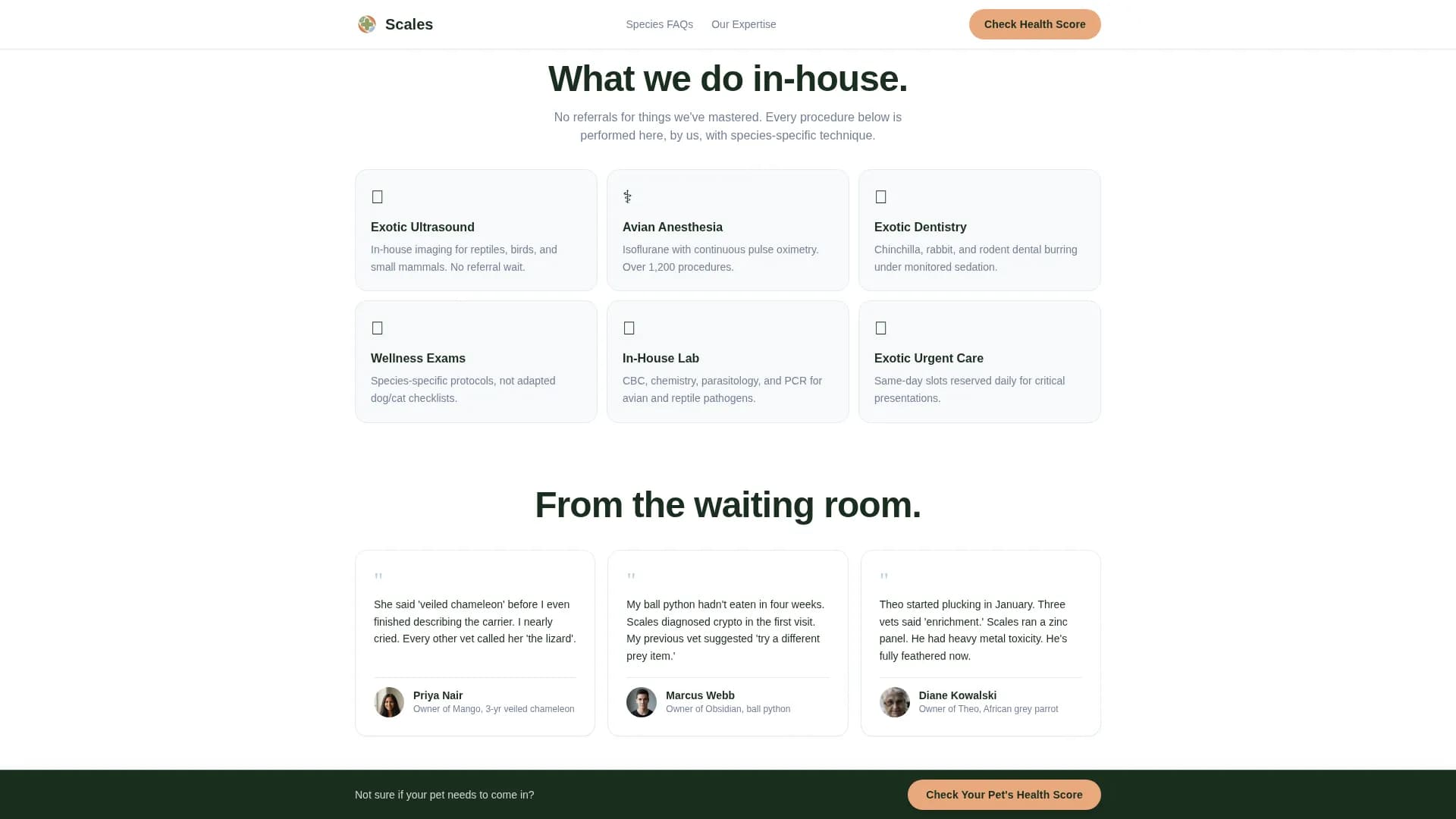 Veterinary & Animal Hospital Specialist Booking Website Template