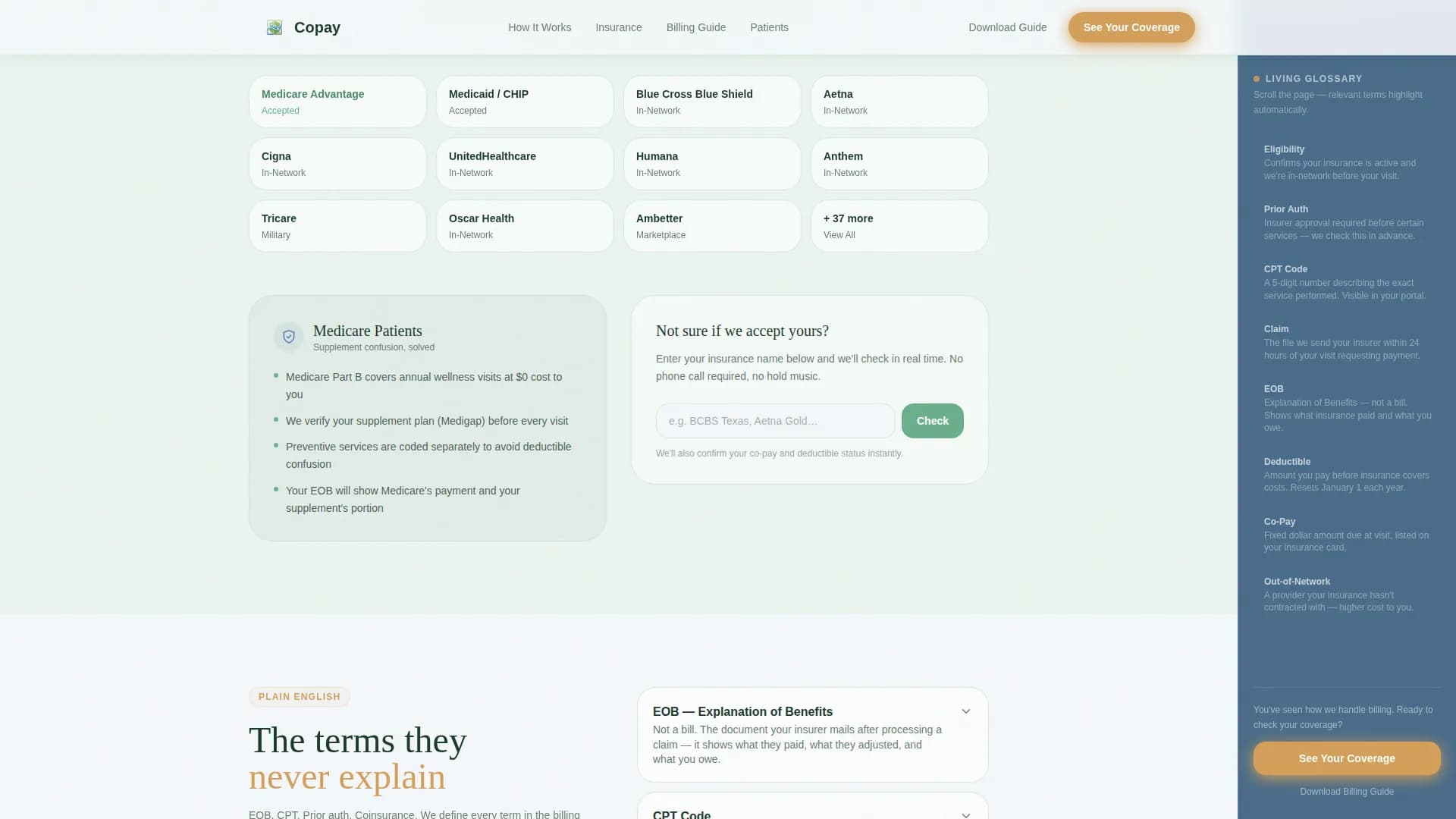 Family Doctor Booking Website Template