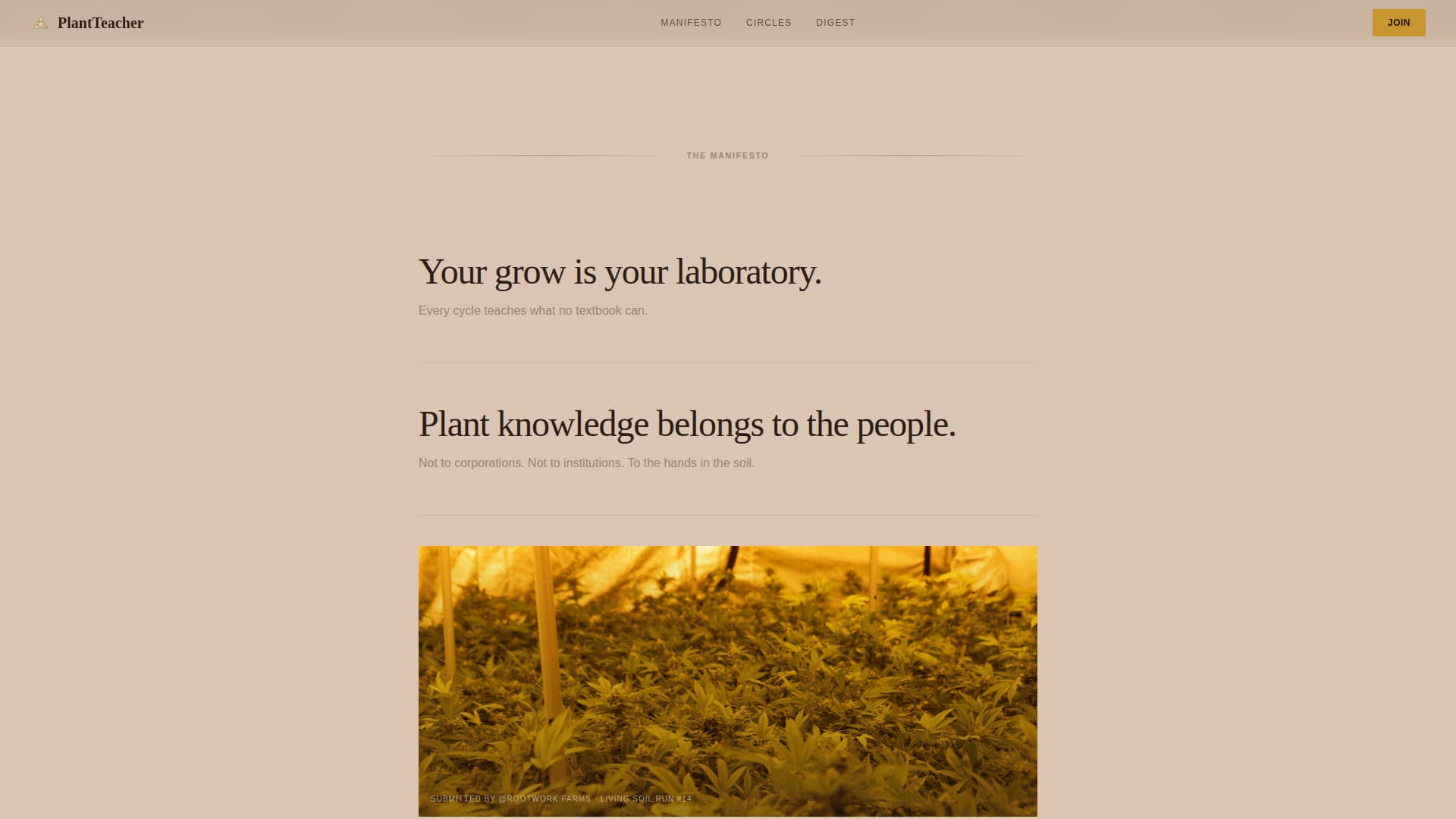 Cannabis Blog & Media Professional Website Template
