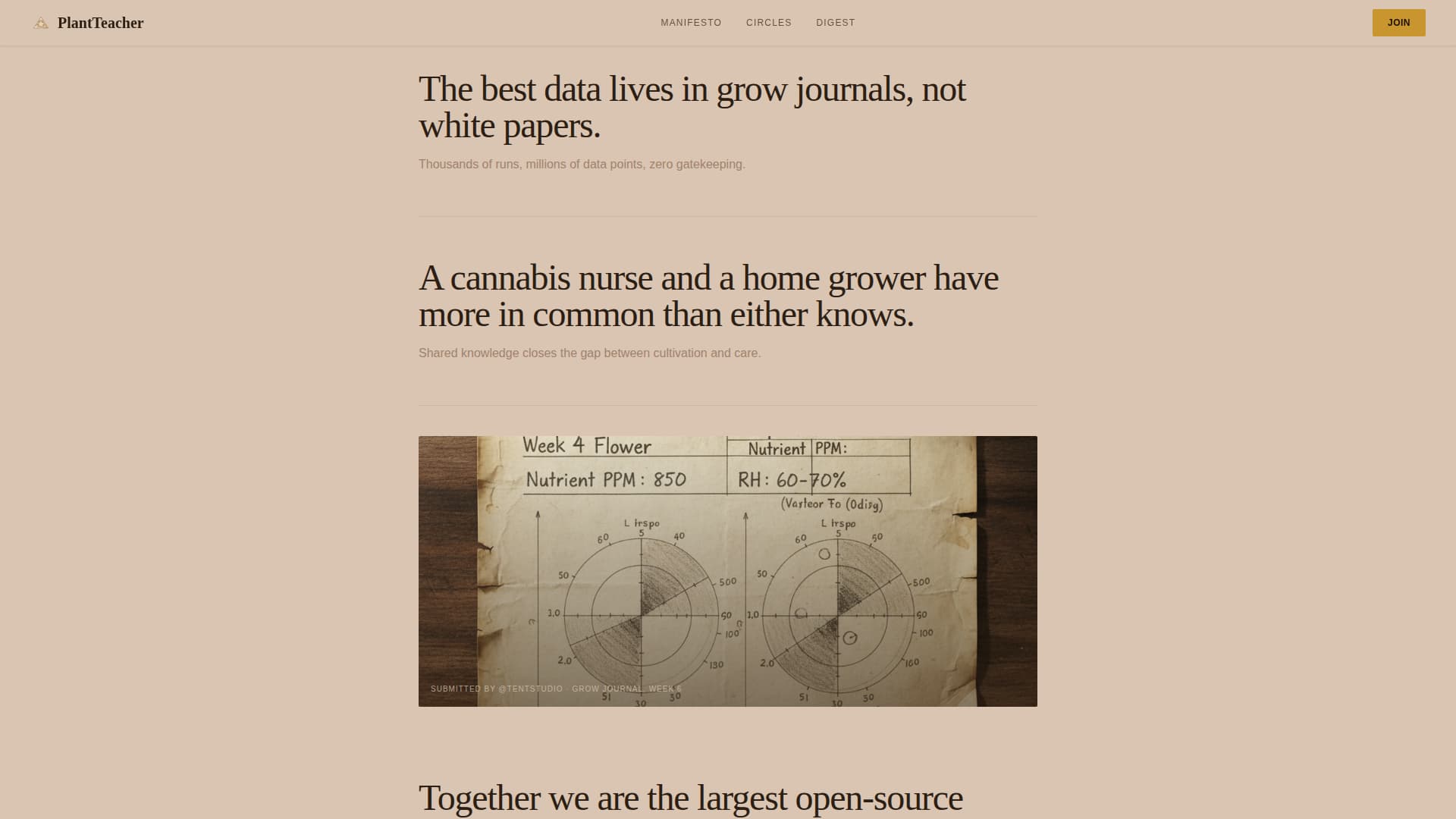 Cannabis Blog & Media Professional Website Template