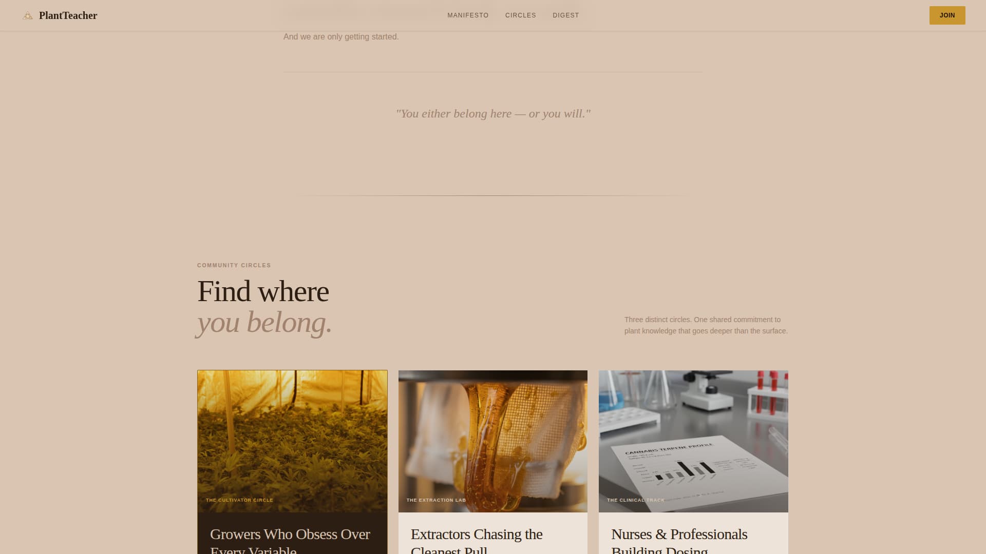 Cannabis Blog & Media Professional Website Template