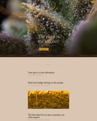 Cannabis Blog & Media Professional Website Template