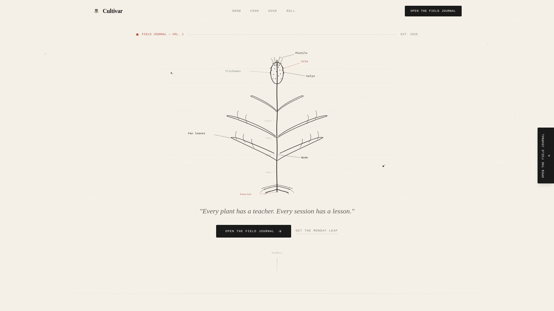 Cannabis Blog & Media Specialist Blog Website Template