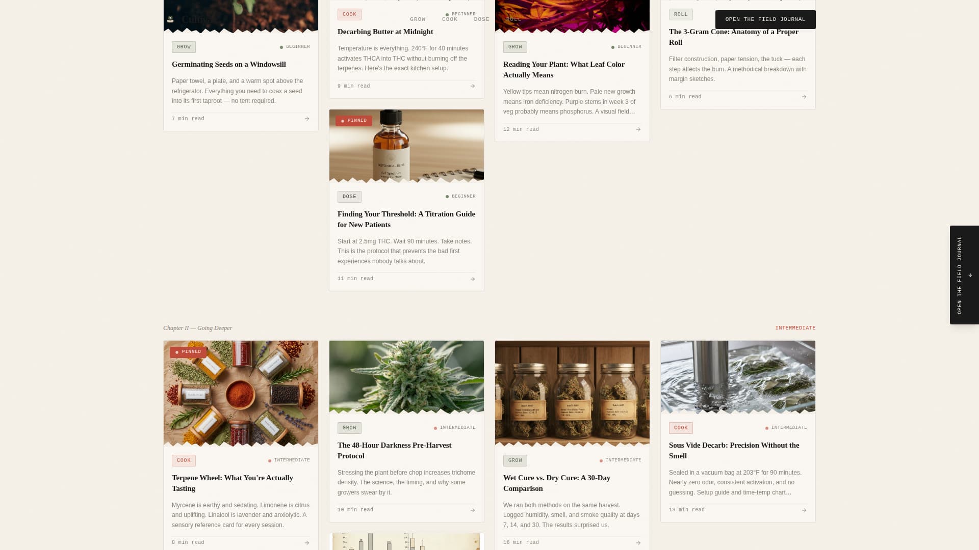 Cannabis Blog & Media Specialist Blog Website Template