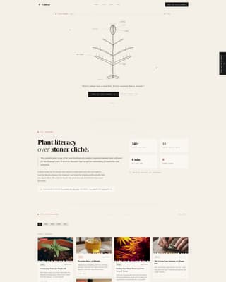 Cannabis Blog & Media Specialist Blog Website Template