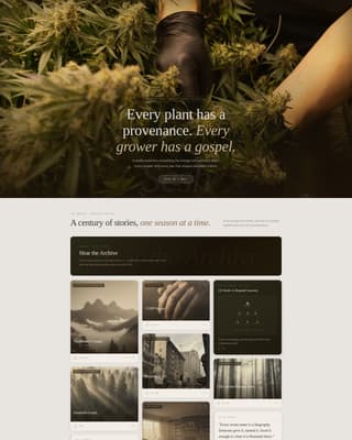 Cannabis Blog & Media Pre-Launch Website Template