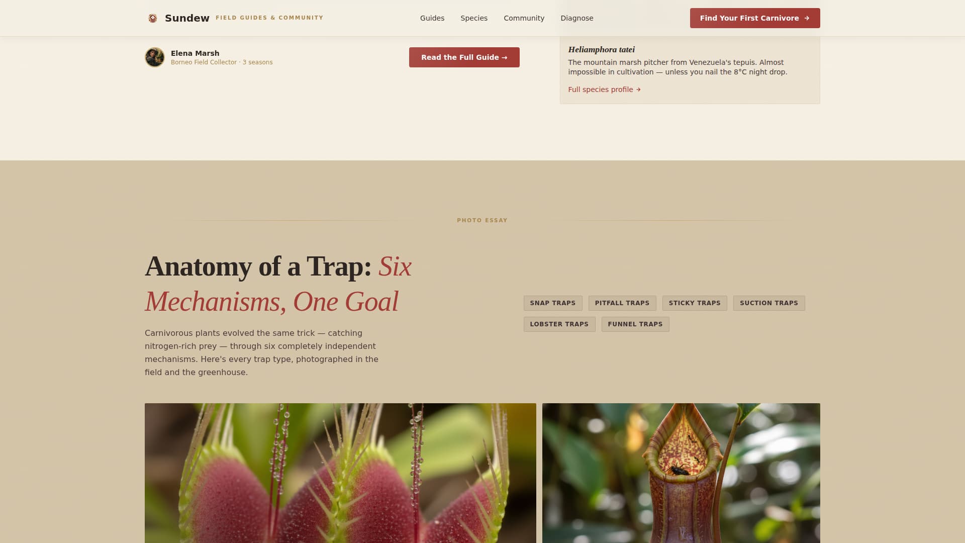 Hobby & Passion Content Online Blog Website Template
