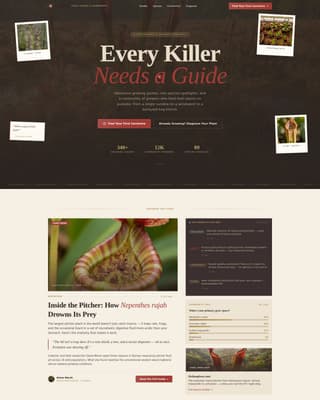 Hobby & Passion Content Online Blog Website Template