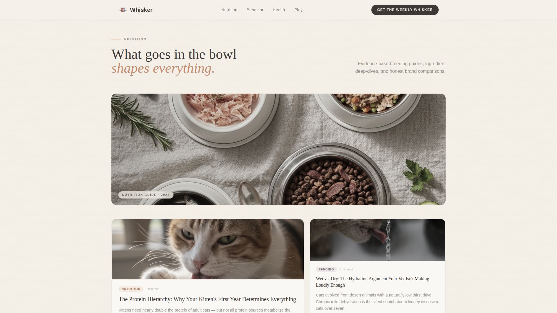 Pet & Animal Blog Blog Website Template