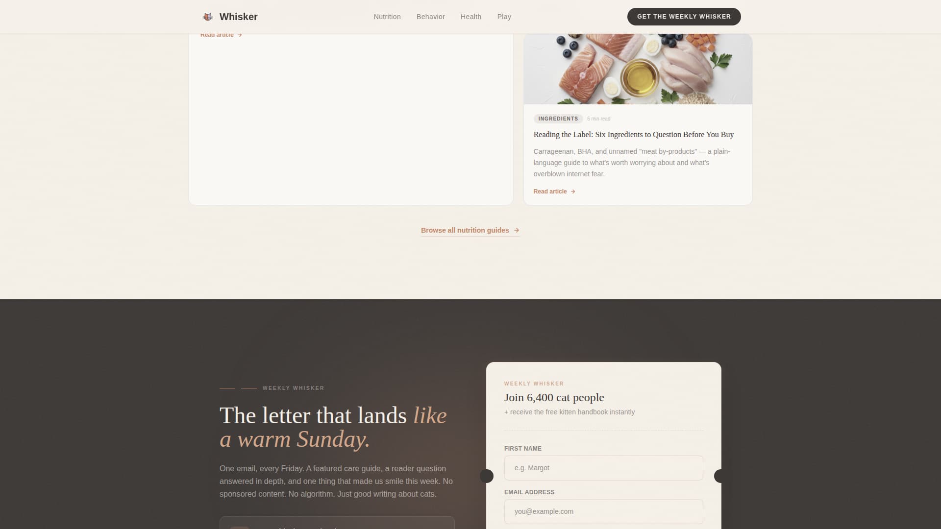 Pet & Animal Blog Blog Website Template