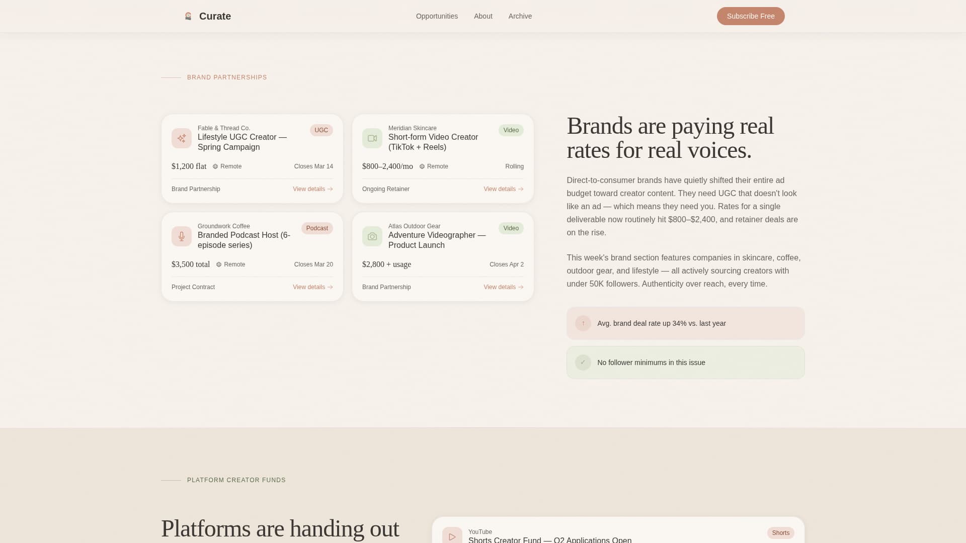 Creator Economy Newsletter Advanced Blog Website Template