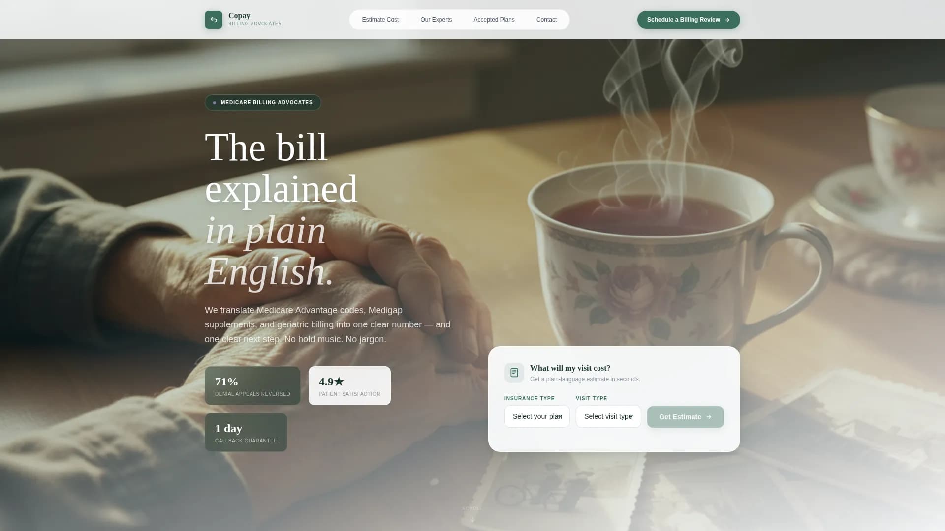 Navigate - Billing Services Landing Page Template