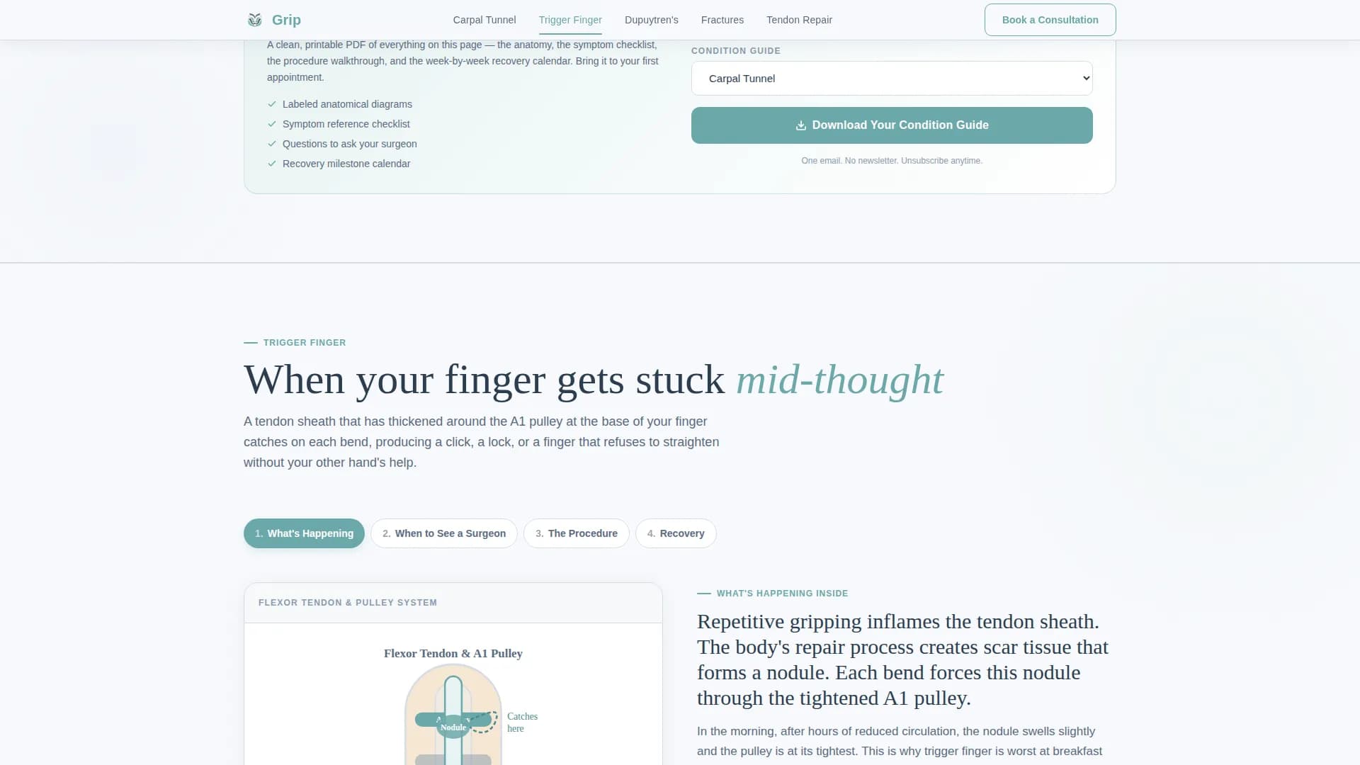 Suture - Patient Education Landing Page Template