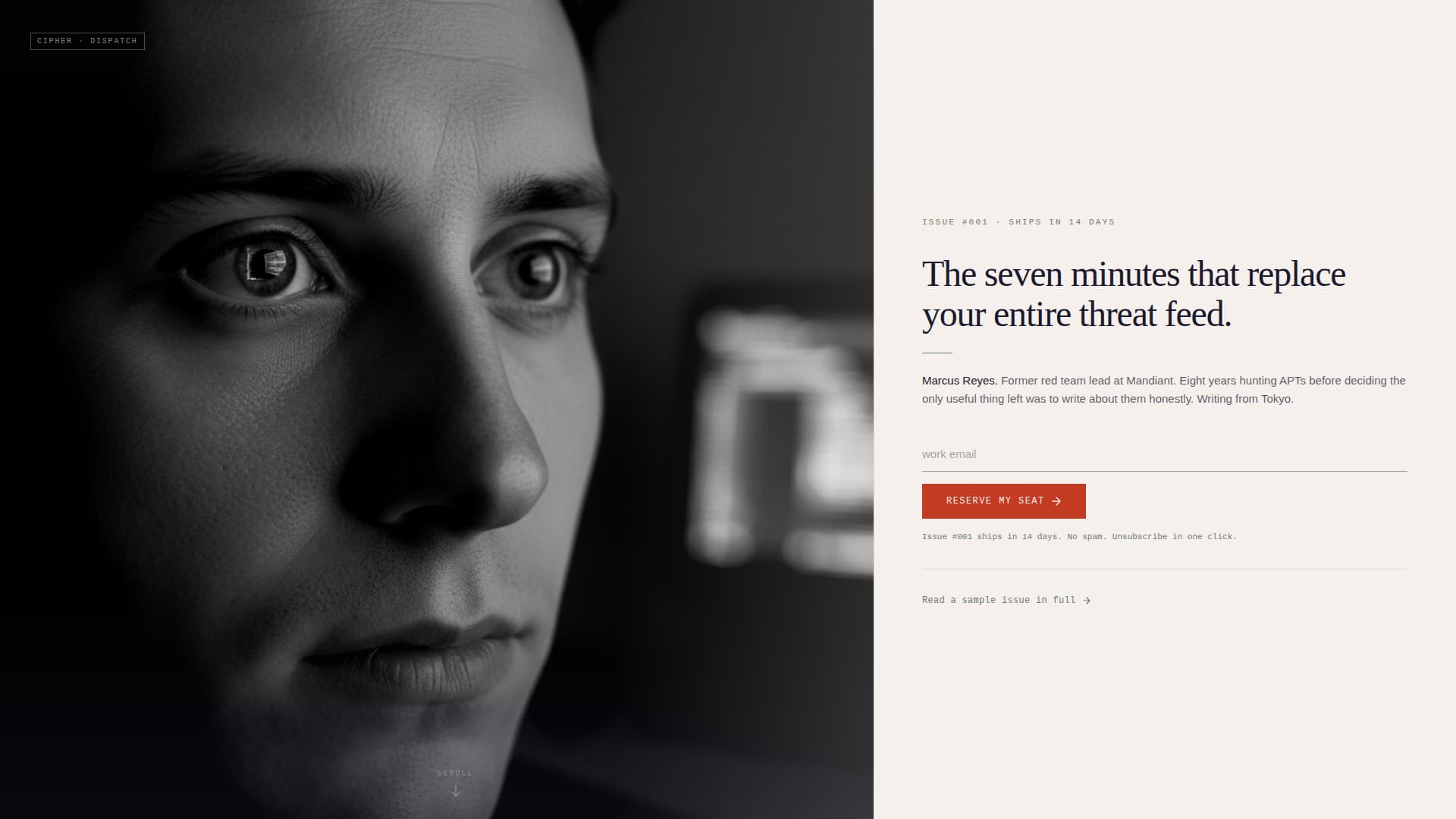 Cybersecurity Newsletter Pre-Launch Website Template