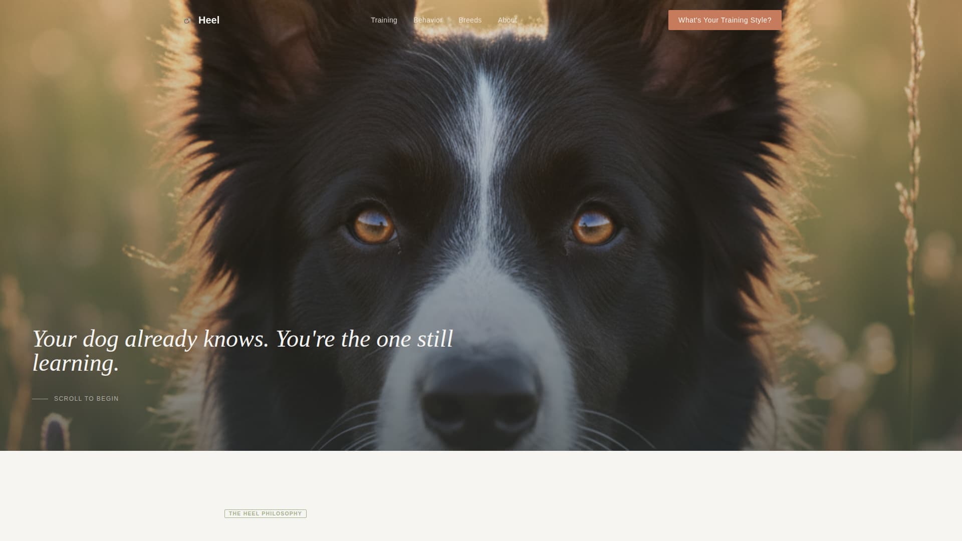Heel - Authoritative Dogtraining Landing Page Template