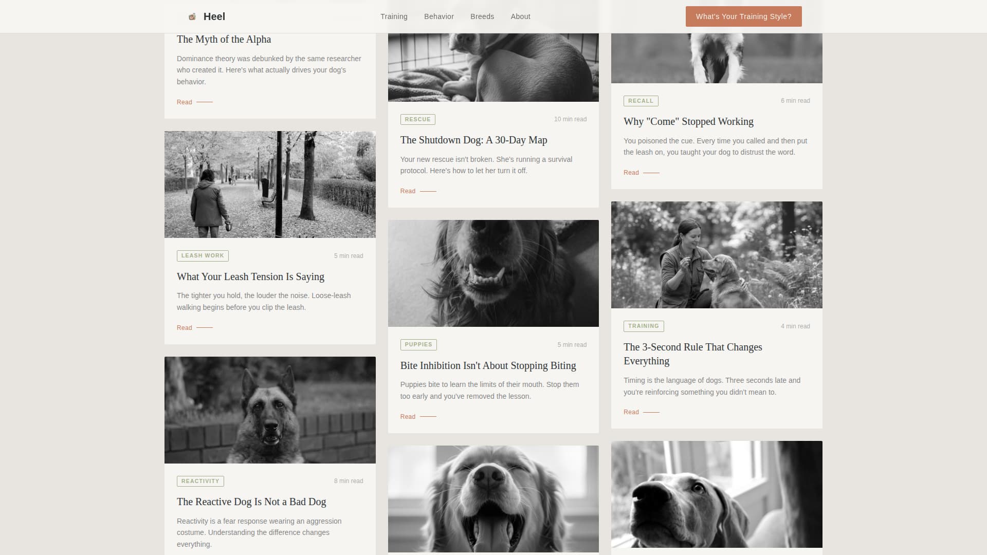 Heel - Authoritative Dogtraining Landing Page Template