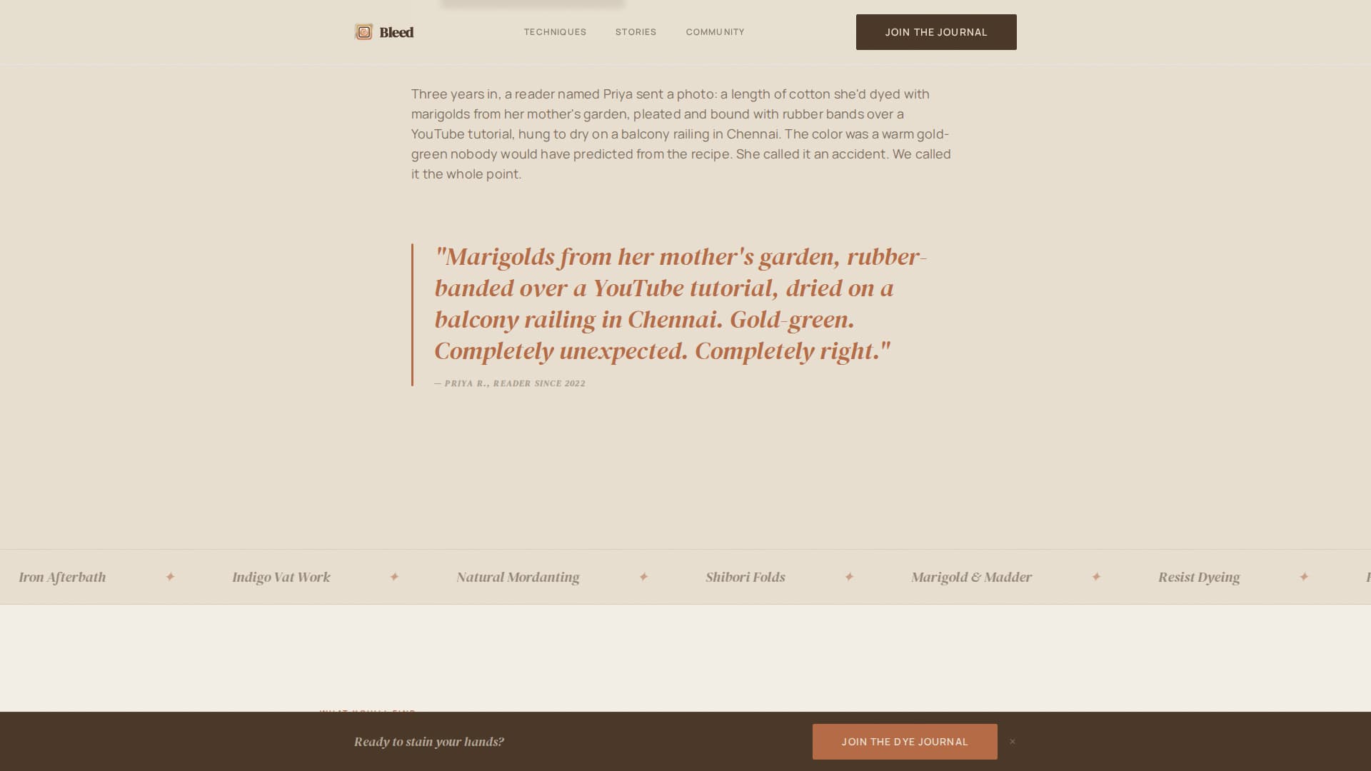 Bleed - Artisan Dyeing Landing Page Template