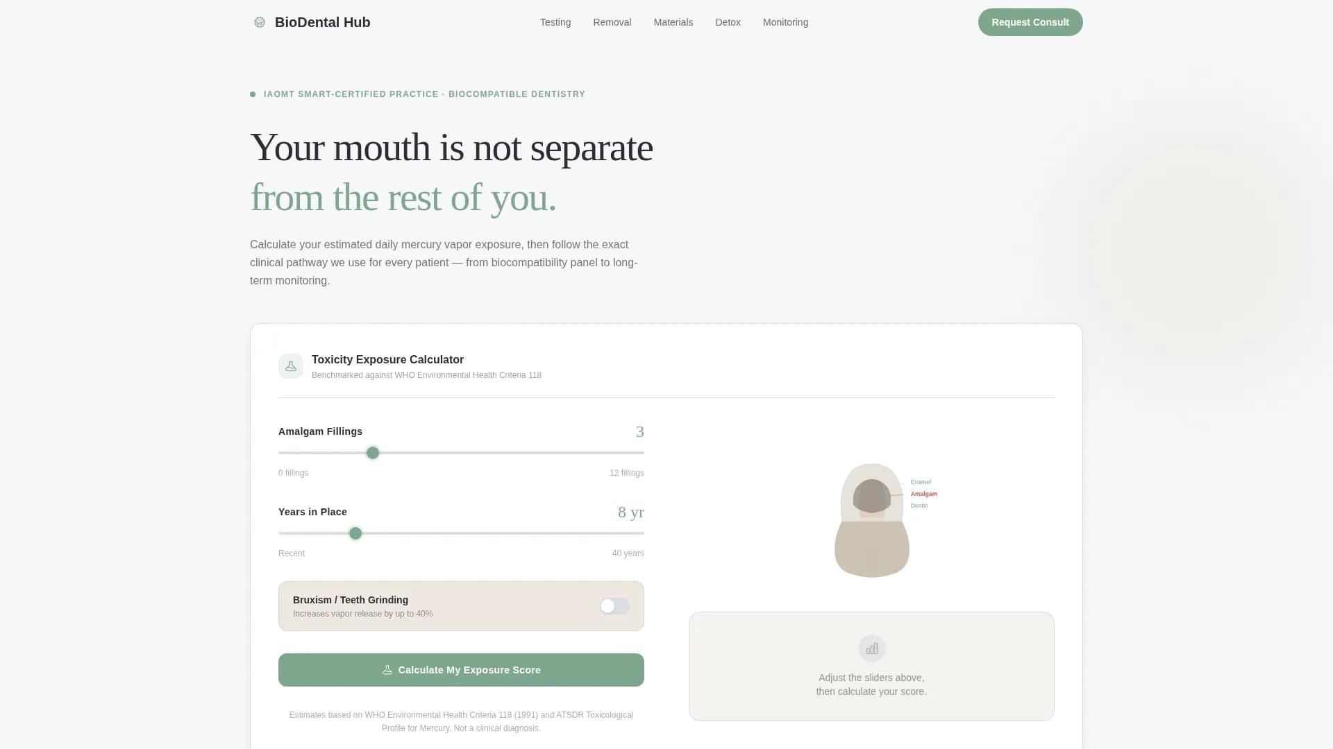 Holistic Dentist Booking Website Template