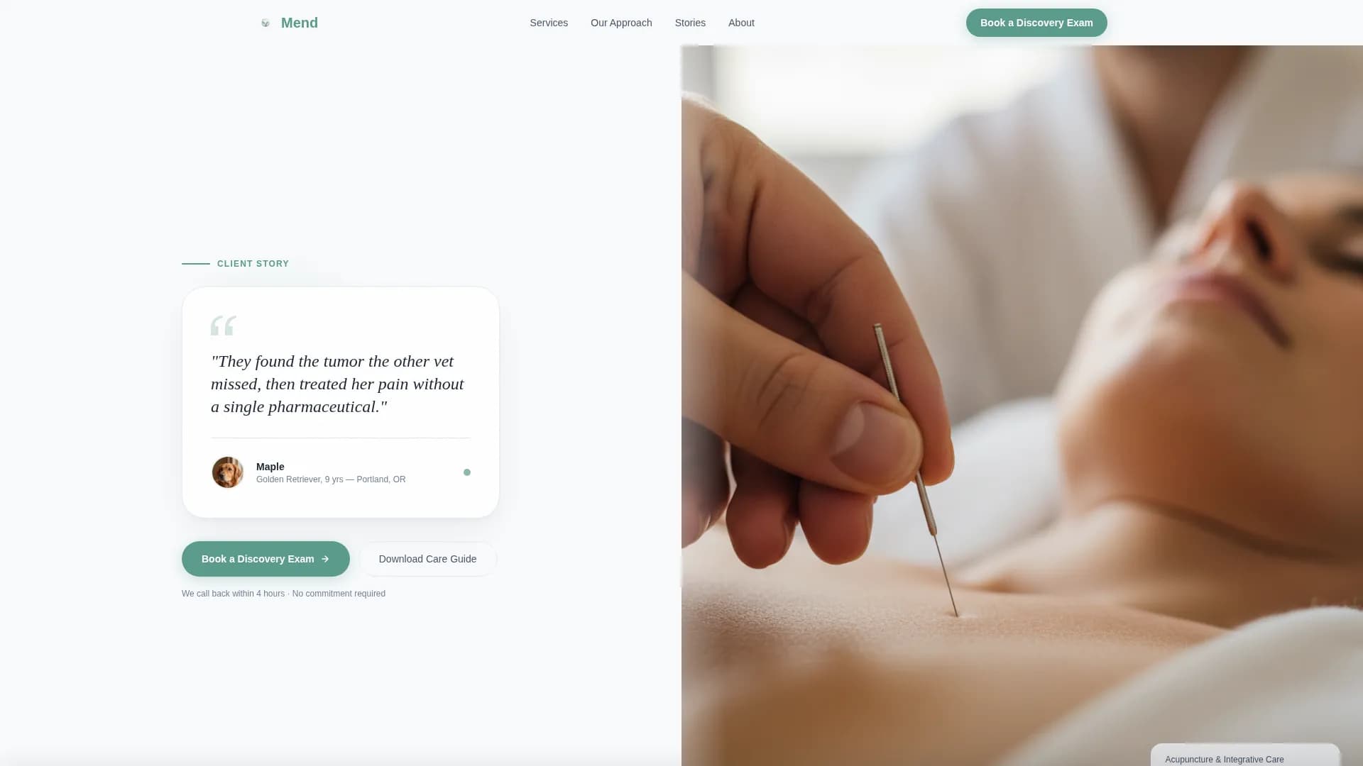 Mend - Holistic Veterinary Landing Page Template