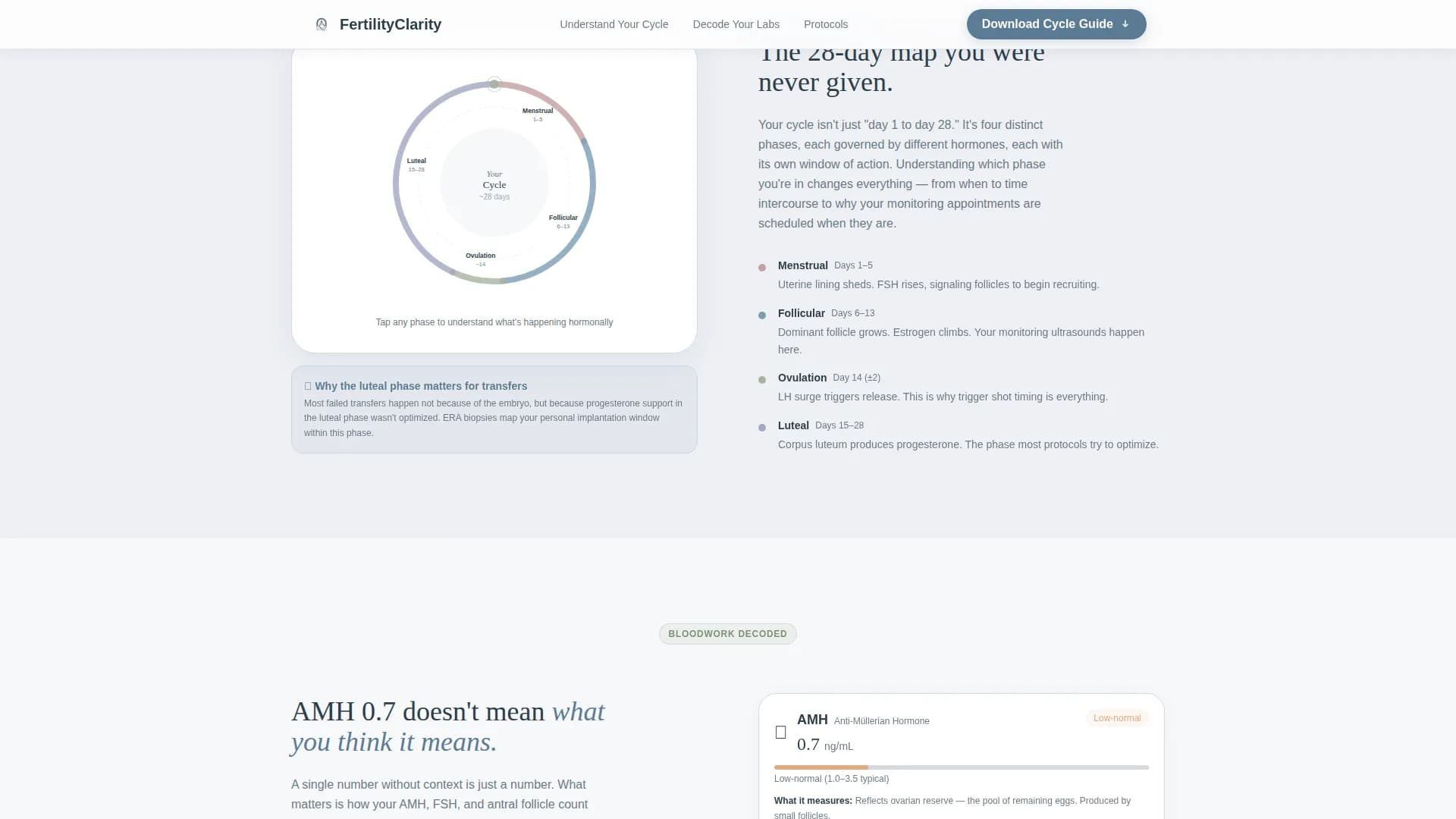 Conceive - Patient Education Landing Page Template