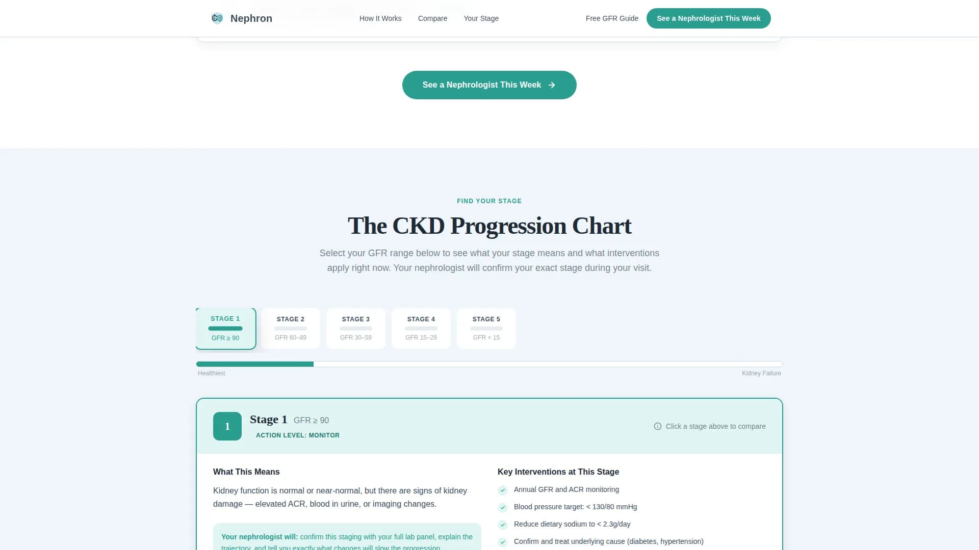 Kidney Disease Care Booking Website Template