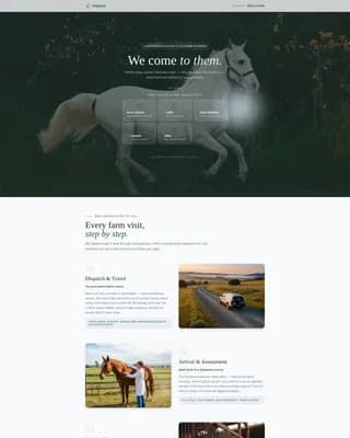 Veterinary & Animal Hospital Booking Website Template