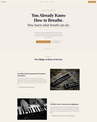 Wail - Soulful Harmonica Landing Page Template