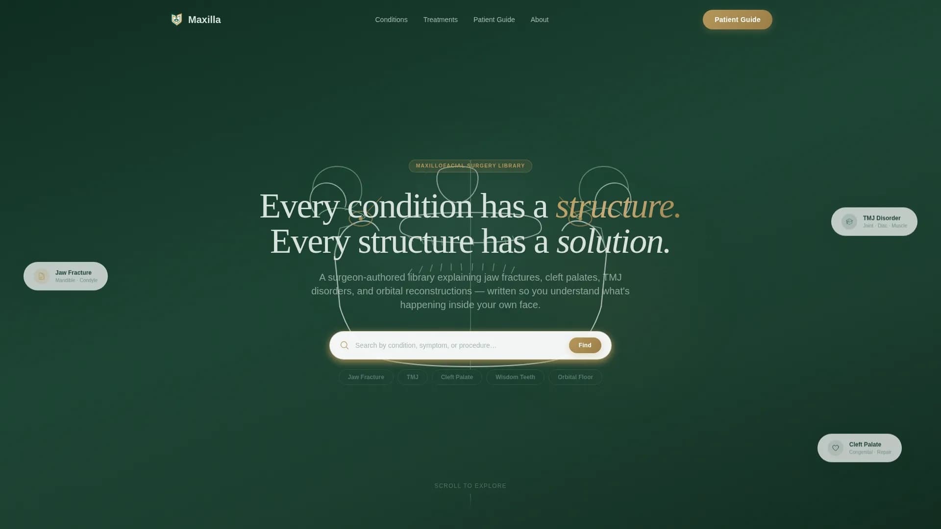 Maxillofacial Surgeon Professional Website Template