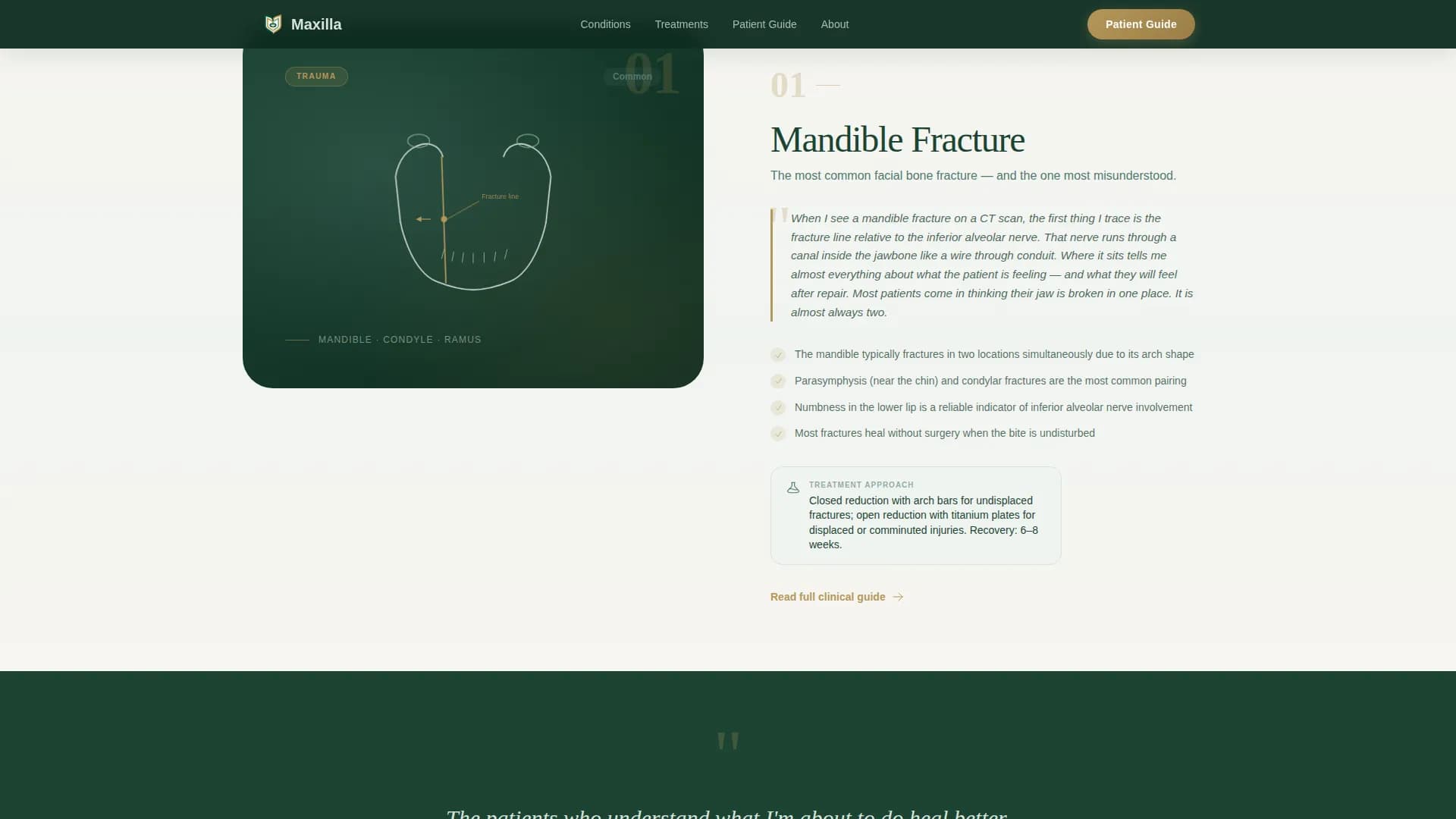 Maxillofacial Surgeon Professional Website Template