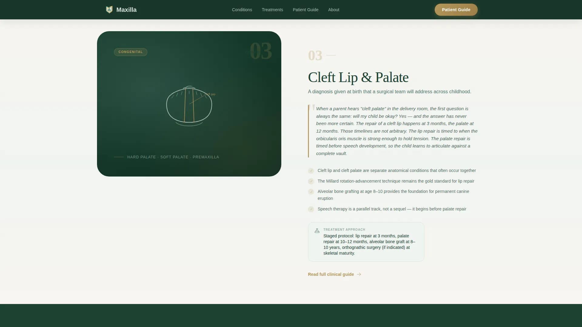 Maxillofacial Surgeon Professional Website Template